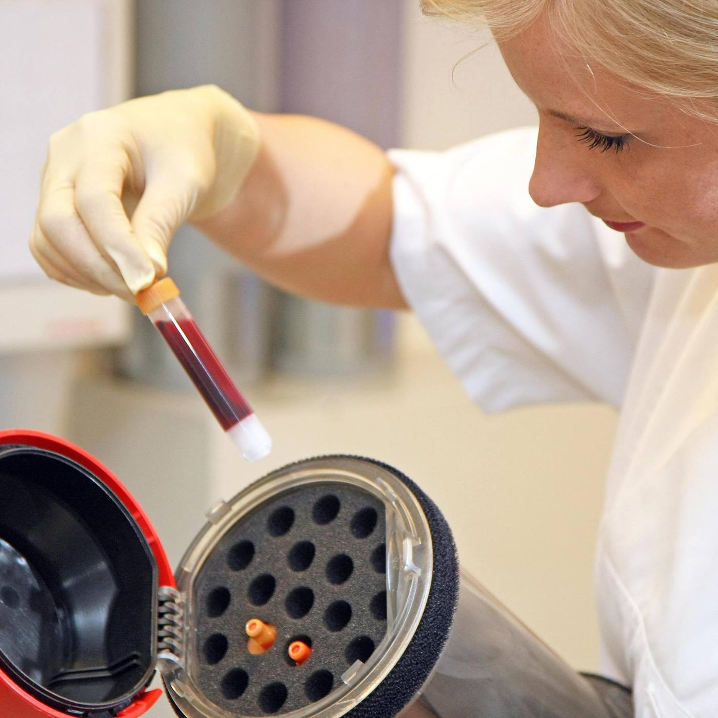 TranspoNet load carrier