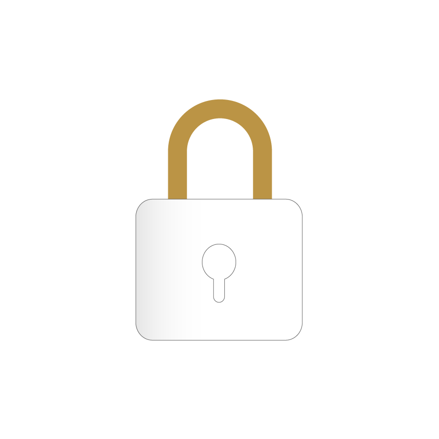 Secure icon
